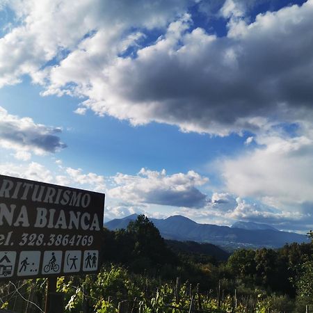 Agriturismo Donna Bianca Mormanno Luaran gambar