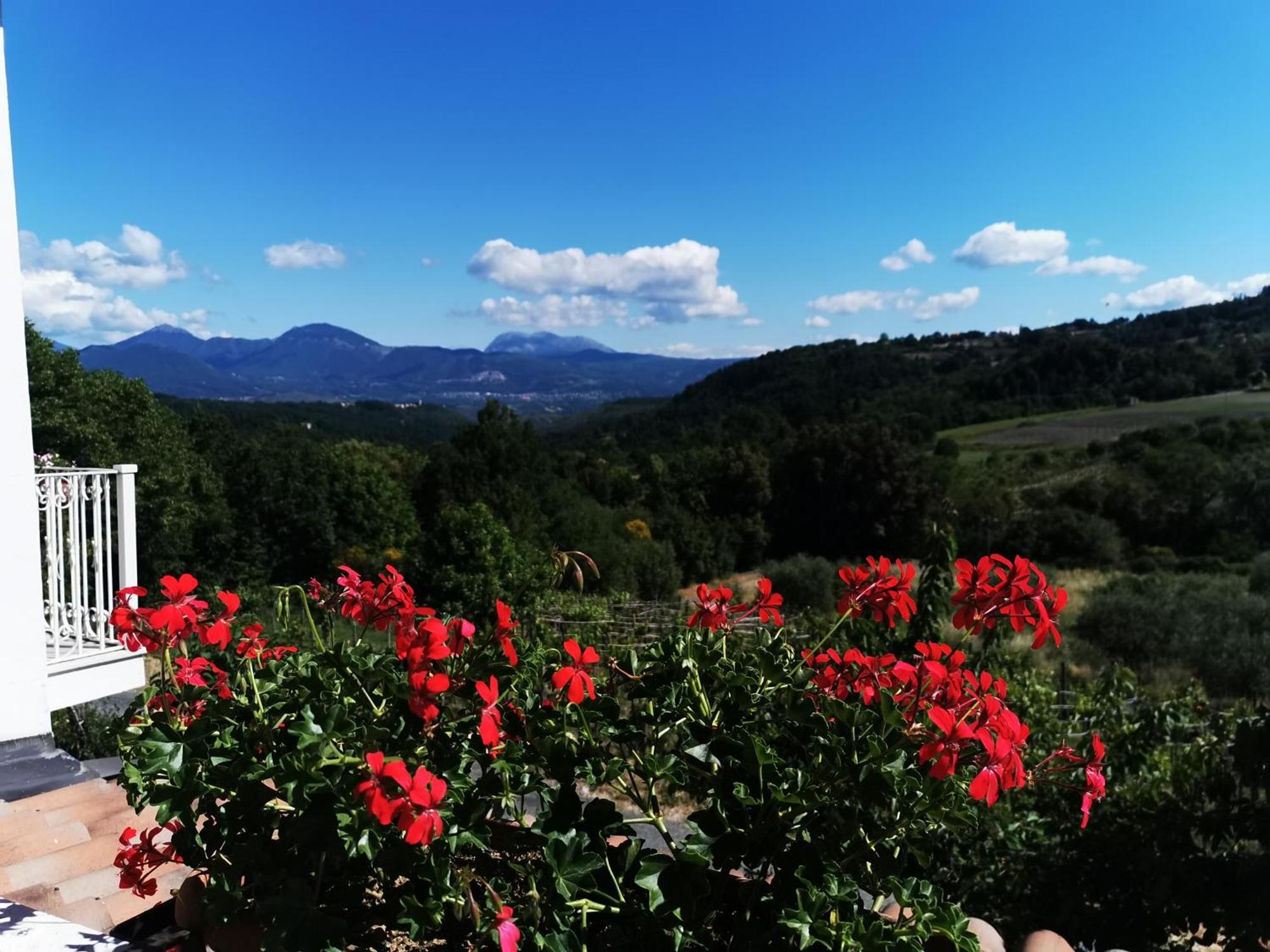 Agriturismo Donna Bianca Mormanno Luaran gambar