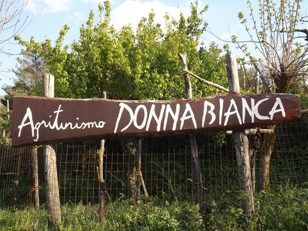 Agriturismo Donna Bianca Mormanno Luaran gambar