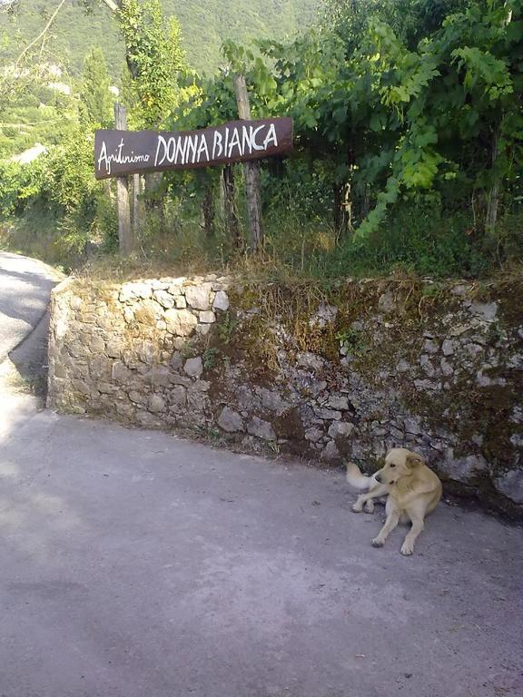 Agriturismo Donna Bianca Mormanno Luaran gambar